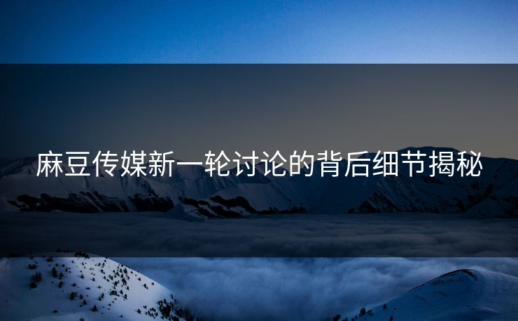 麻豆传媒新一轮讨论的背后细节揭秘  第1张