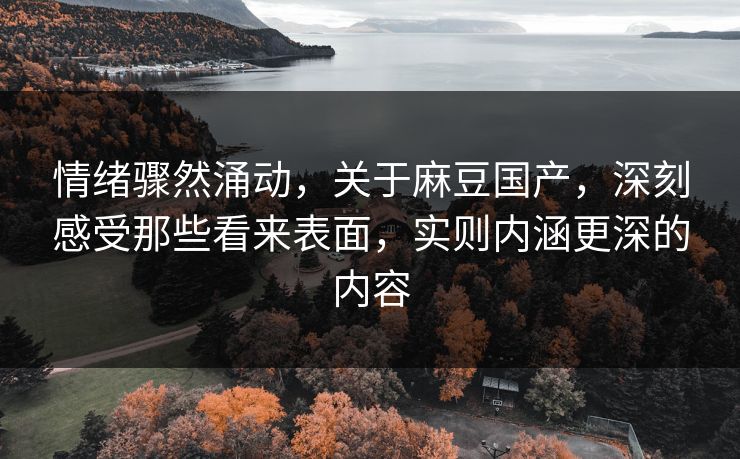 情绪骤然涌动，关于麻豆国产，深刻感受那些看来表面，实则内涵更深的内容  第1张