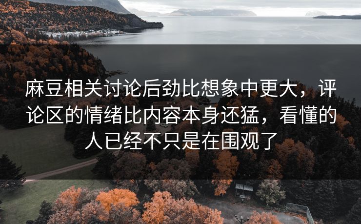 麻豆相关讨论后劲比想象中更大，评论区的情绪比内容本身还猛，看懂的人已经不只是在围观了  第1张