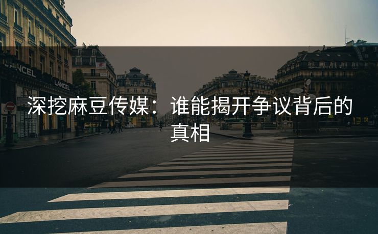 深挖麻豆传媒：谁能揭开争议背后的真相  第1张