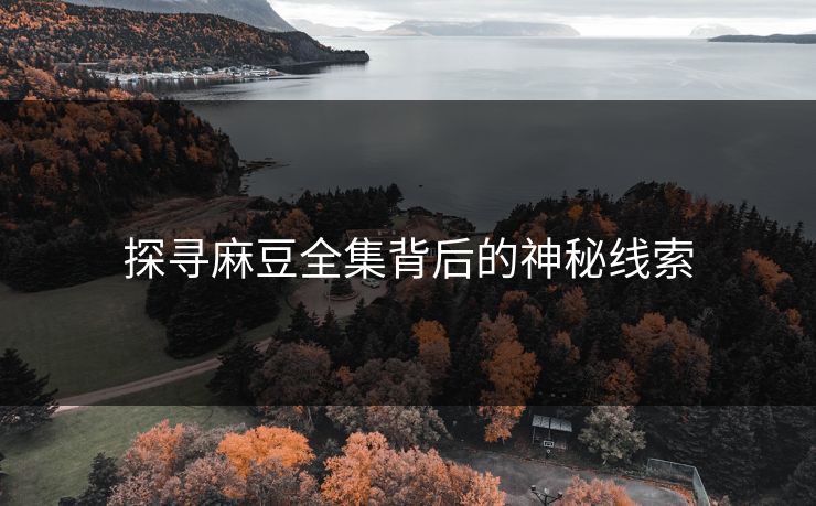 探寻麻豆全集背后的神秘线索  第1张