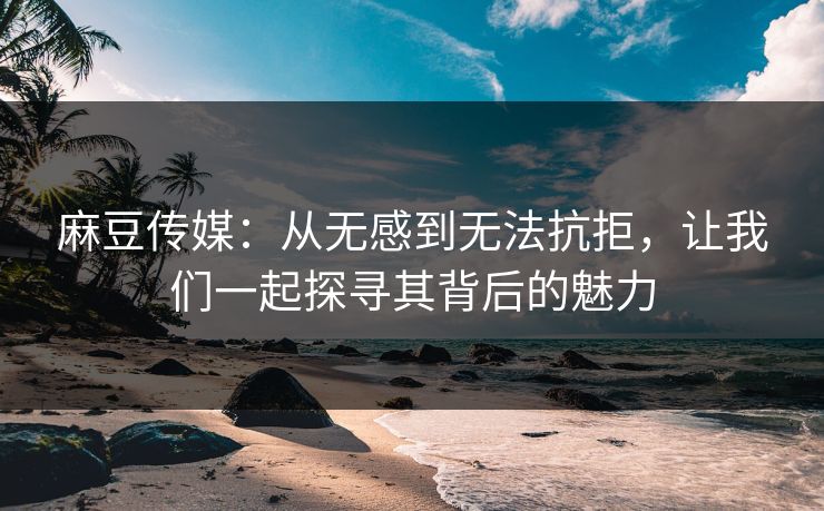 麻豆传媒：从无感到无法抗拒，让我们一起探寻其背后的魅力  第1张
