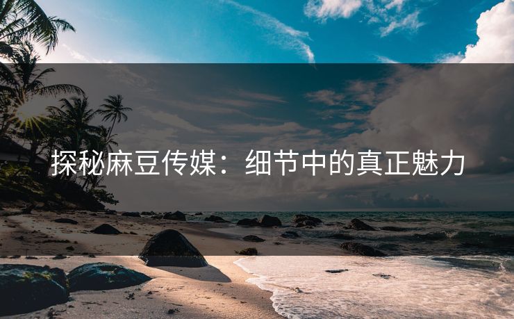 探秘麻豆传媒：细节中的真正魅力  第1张