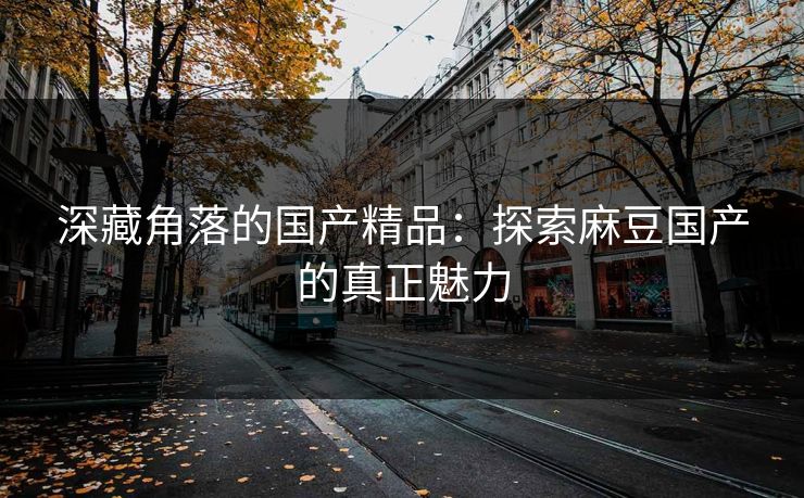 深藏角落的国产精品：探索麻豆国产的真正魅力  第1张
