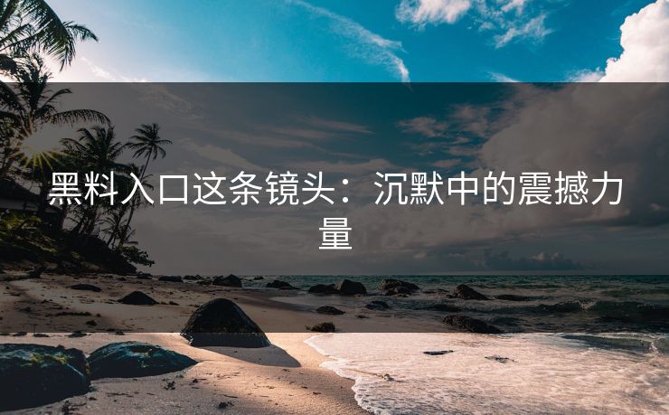 黑料入口这条镜头：沉默中的震撼力量  第1张